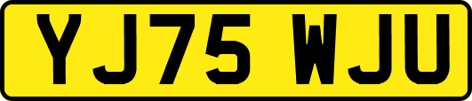 YJ75WJU