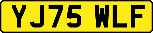 YJ75WLF