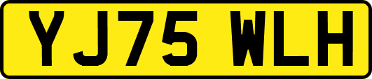 YJ75WLH