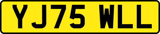 YJ75WLL
