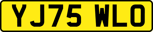 YJ75WLO