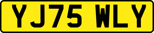 YJ75WLY