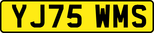 YJ75WMS