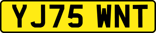 YJ75WNT