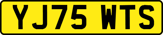 YJ75WTS