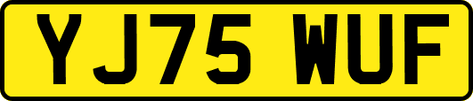 YJ75WUF