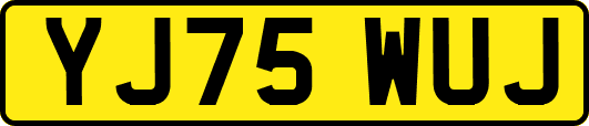 YJ75WUJ