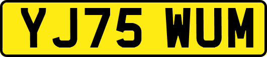 YJ75WUM
