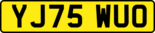 YJ75WUO