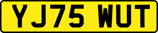 YJ75WUT