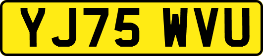 YJ75WVU