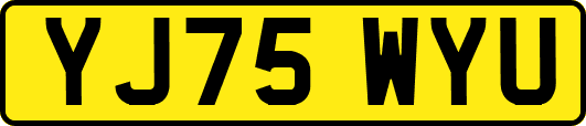 YJ75WYU