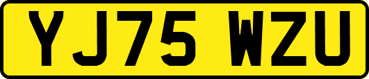 YJ75WZU