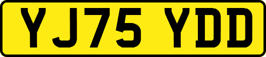 YJ75YDD