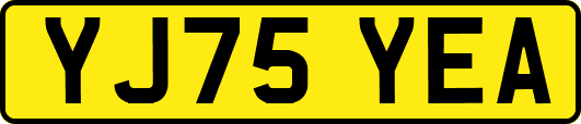 YJ75YEA