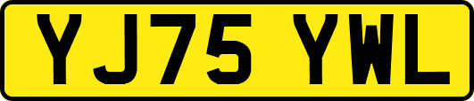 YJ75YWL