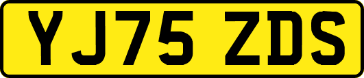 YJ75ZDS