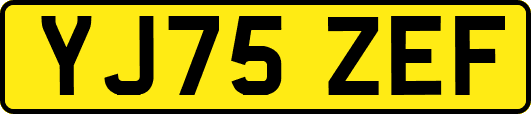 YJ75ZEF