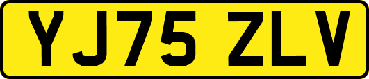 YJ75ZLV