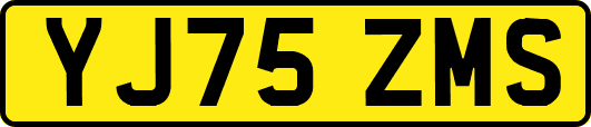 YJ75ZMS