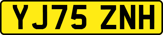 YJ75ZNH