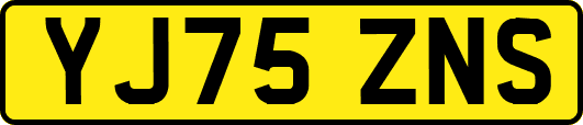 YJ75ZNS
