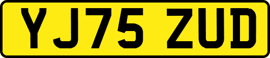 YJ75ZUD