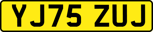 YJ75ZUJ
