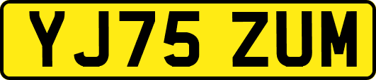 YJ75ZUM