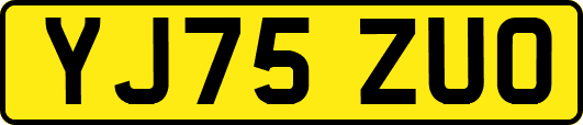 YJ75ZUO