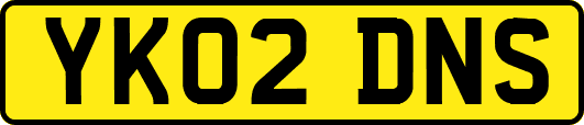 YK02DNS