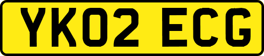 YK02ECG