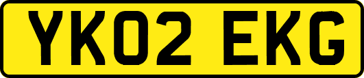 YK02EKG