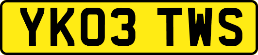 YK03TWS