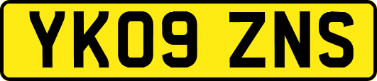 YK09ZNS