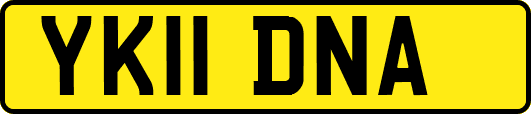 YK11DNA