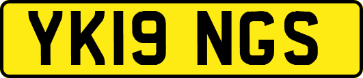 YK19NGS