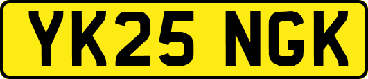 YK25NGK