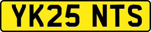 YK25NTS