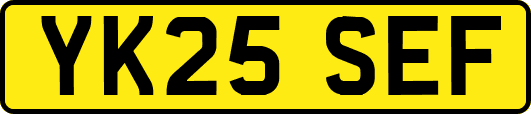 YK25SEF