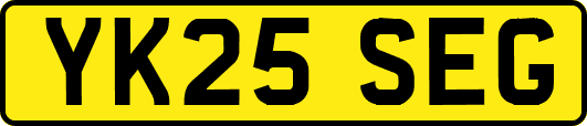YK25SEG