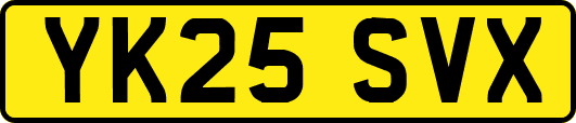 YK25SVX