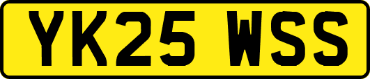YK25WSS