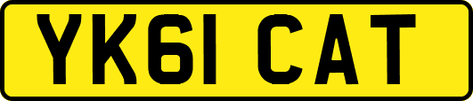 YK61CAT