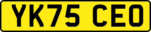 YK75CEO