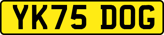 YK75DOG