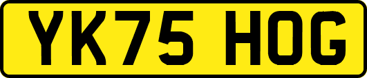 YK75HOG