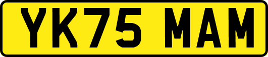 YK75MAM