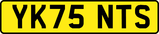 YK75NTS