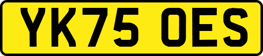 YK75OES